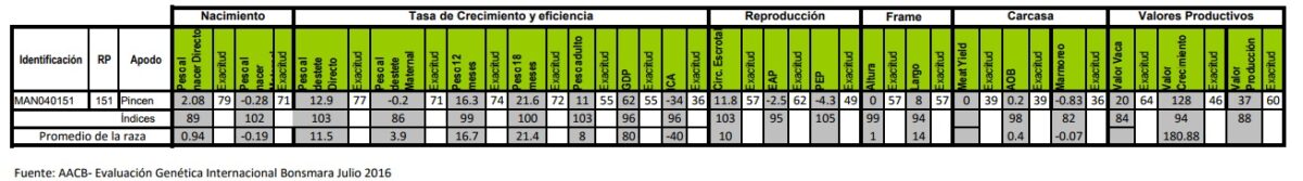 DEPs-Pincen